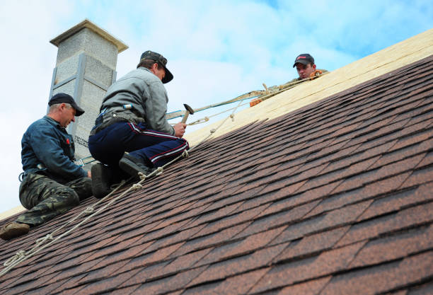 Quick and Trustworthy Emergency Roof Repair Services in Mountlake Terrace, WA