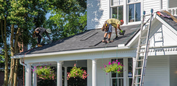 Professional Roofing Contractor in Mountlake Terrace, WA