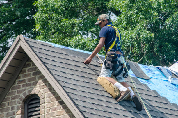 Best New Roof Installation  in Mountlake Terrace, WA